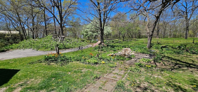 26856 County 14, Carimona Twp, MN 55965 - photo 14