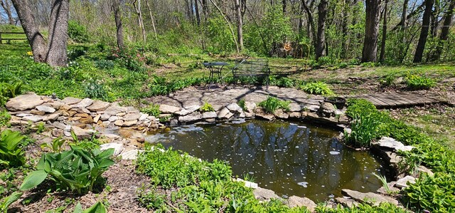 26856 County 14, Carimona Twp, MN 55965 - photo 15