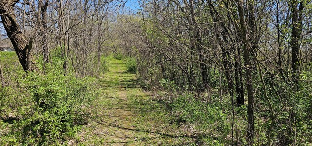 26856 County 14, Carimona Twp, MN 55965 - photo 17