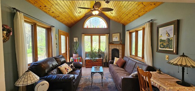 26856 County 14, Carimona Twp, MN 55965 - photo 29