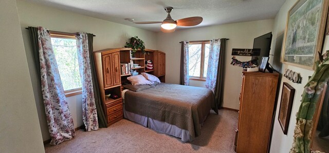 26856 County 14, Carimona Twp, MN 55965 - photo 31