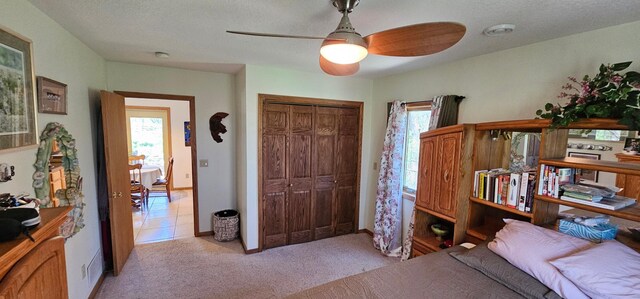 26856 County 14, Carimona Twp, MN 55965 - photo 32