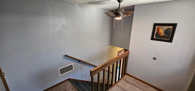 26856 County 14, Carimona Twp, MN 55965 - photo 39