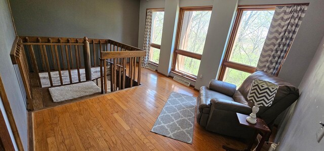 26856 County 14, Carimona Twp, MN 55965 - photo 46