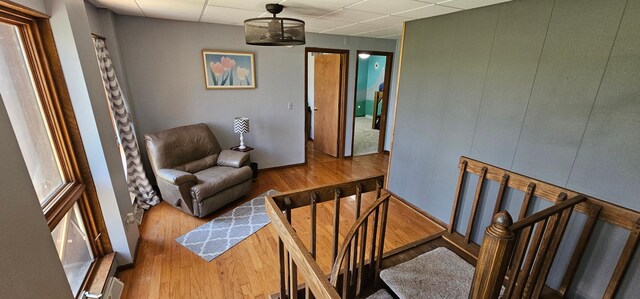 26856 County 14, Carimona Twp, MN 55965 - photo 48