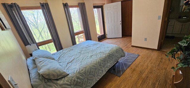 26856 County 14, Carimona Twp, MN 55965 - photo 56
