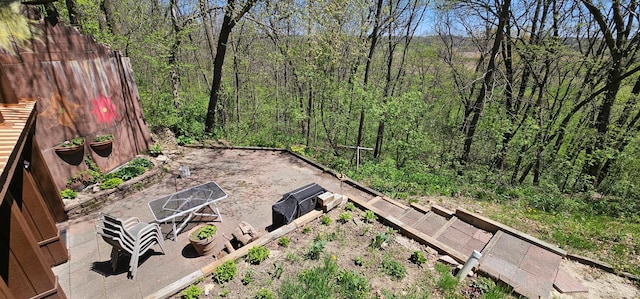 26856 County 14, Carimona Twp, MN 55965 - photo 58