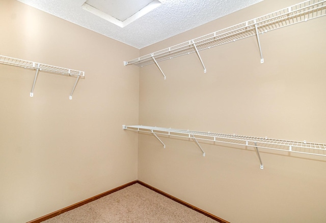 657 Golden Oak St NE, Lonsdale, MN 55046 - walk in closet with carpet flooring and attic access