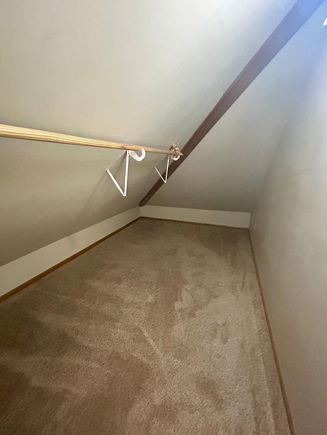 spacious closet with carpet flooring