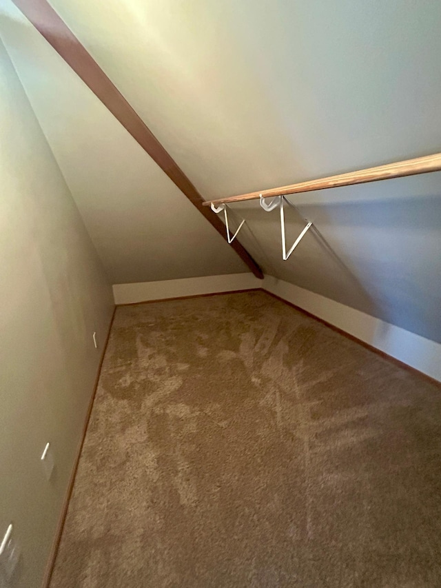 spacious closet with carpet floors
