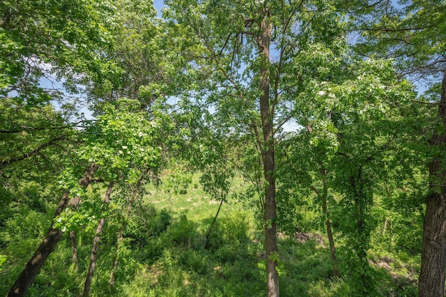 11943 Orchard Ave W, Minnetonka, MN 55305 - photo 65