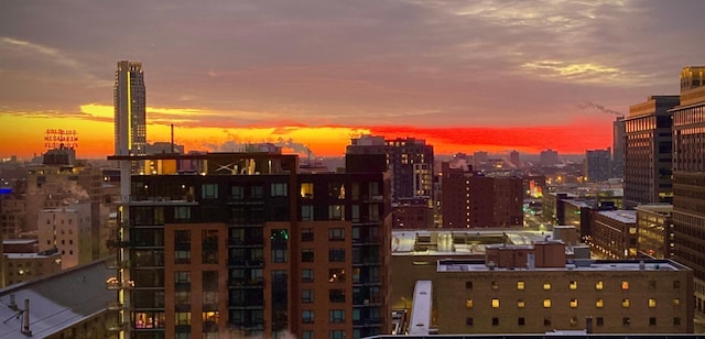 121 Washington Ave S Unit 1508, Minneapolis, MN 55401 - view of city