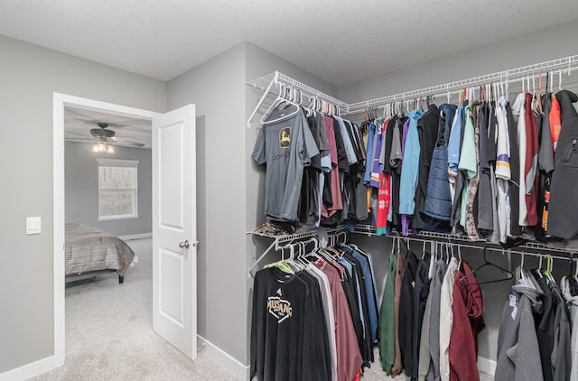 3088 Sunflower Way NW, Prior Lake, MN 55352 - walk in closet with carpet floors and ceiling fan