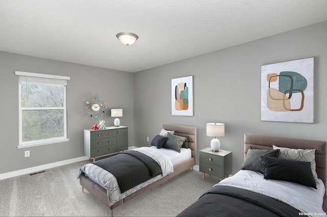 3088 Sunflower Way NW, Prior Lake, MN 55352 - carpeted bedroom with baseboards