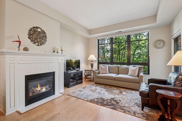 3709 Grand Way Unit 227, Saint Louis Park, MN 55416 - living room with wood finished floors and a fireplace