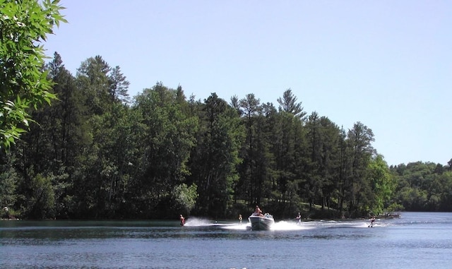 water view featuring a view of trees