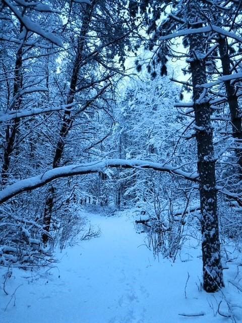 view of snowy view