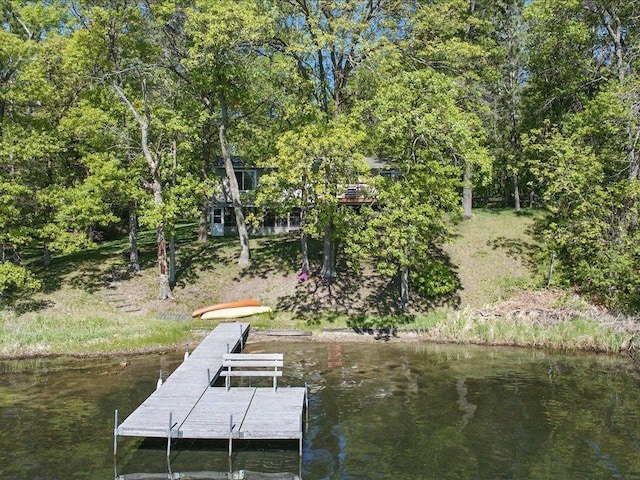 27142 Loon Pt, Pequot Lakes, MN 56472 - photo 14