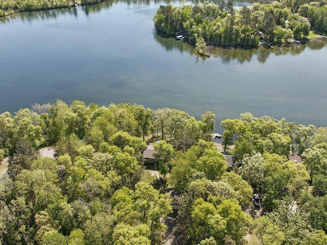 27142 Loon Pt, Pequot Lakes, MN 56472 - photo 35