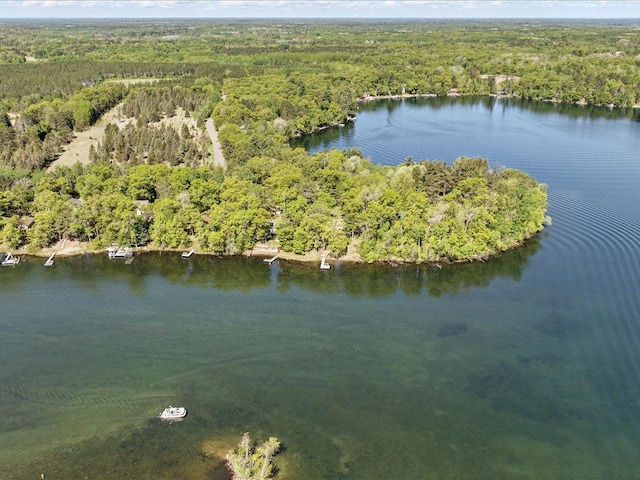 27142 Loon Pt, Pequot Lakes, MN 56472 - photo 36