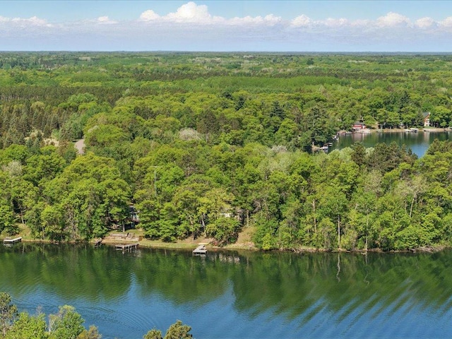 27142 Loon Pt, Pequot Lakes, MN 56472 - photo 37