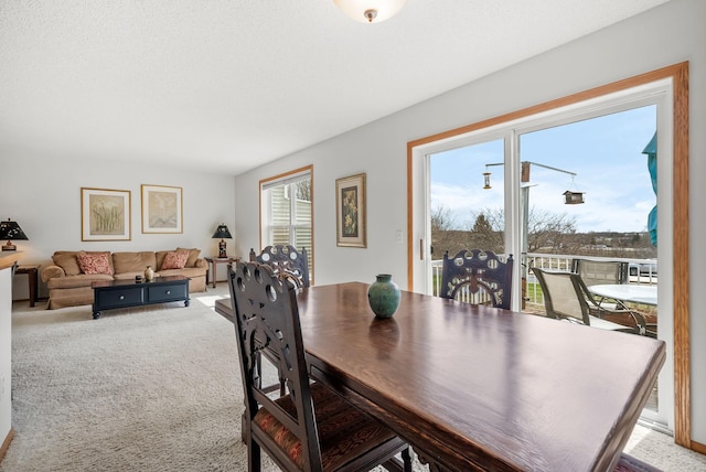 2771 Century Cir, Chanhassen, MN 55317 - photo 11