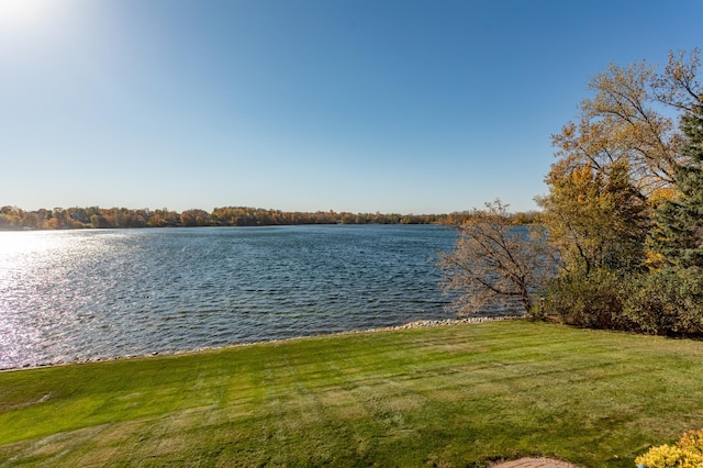 property view of water