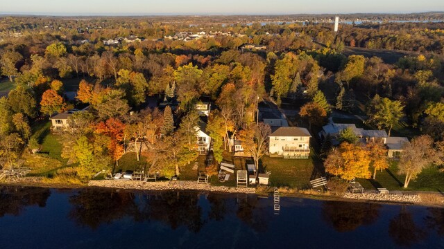 884 White Clover Beach Rd, Detroit Lakes, MN 56501 - drone / aerial view featuring a water view and a view of trees
