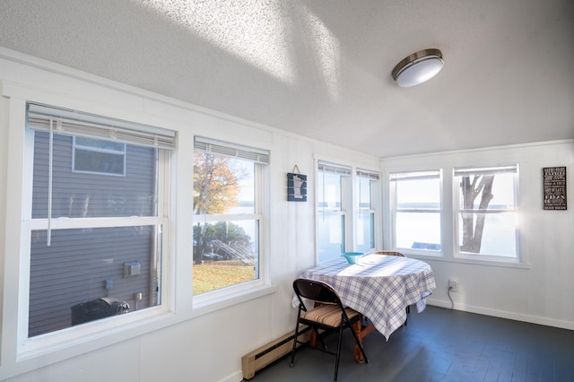 884 White Clover Beach Rd, Detroit Lakes, MN 56501 - bedroom featuring baseboards, a baseboard radiator, a textured ceiling, and multiple windows