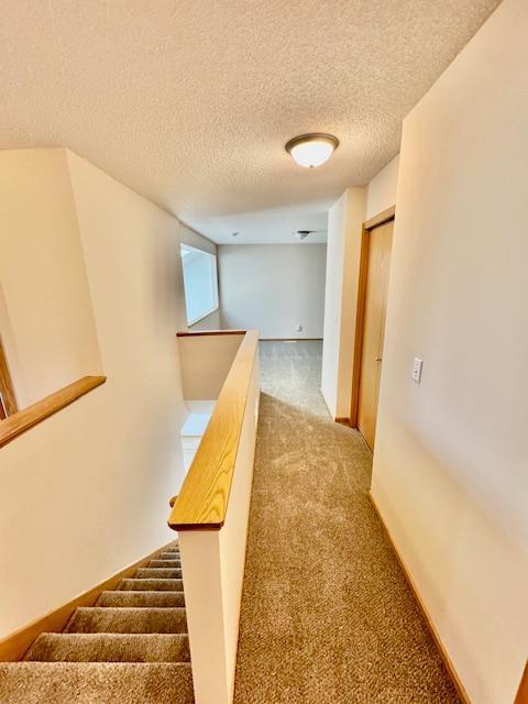 hallway with carpet flooring and a textured ceiling