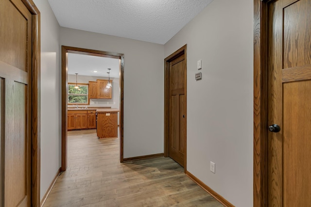 103 Grandview Ct, Buffalo, MN 55313 - hall with light wood finished floors, baseboards, a sink, and a textured ceiling