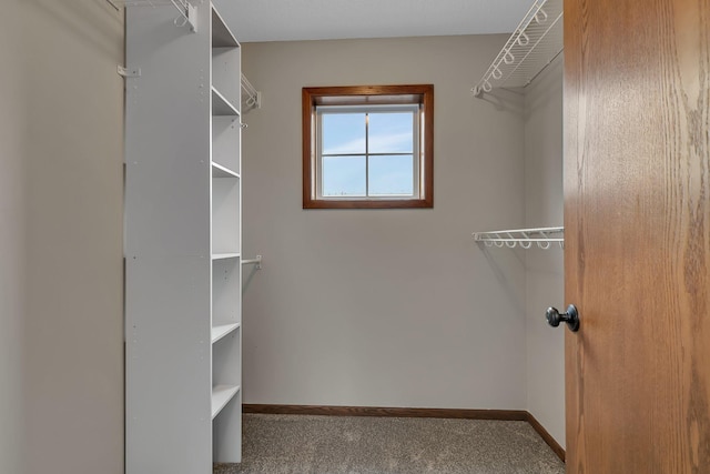 103 Grandview Ct, Buffalo, MN 55313 - walk in closet with carpet floors