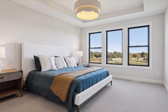 4029 Arbor Dr, Woodbury, MN 55129 - bedroom featuring a raised ceiling, light colored carpet, and baseboards