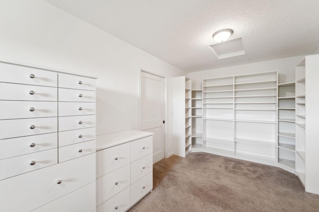 2724 Neal Ave N, West Lakeland Twp, MN 55082 - walk in closet featuring light colored carpet