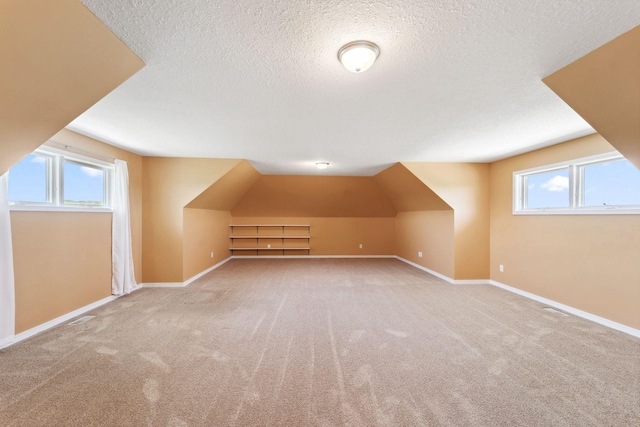 2724 Neal Ave N, West Lakeland Twp, MN 55082 - additional living space with carpet floors, a textured ceiling, baseboards, healthy amount of natural light, and lofted ceiling