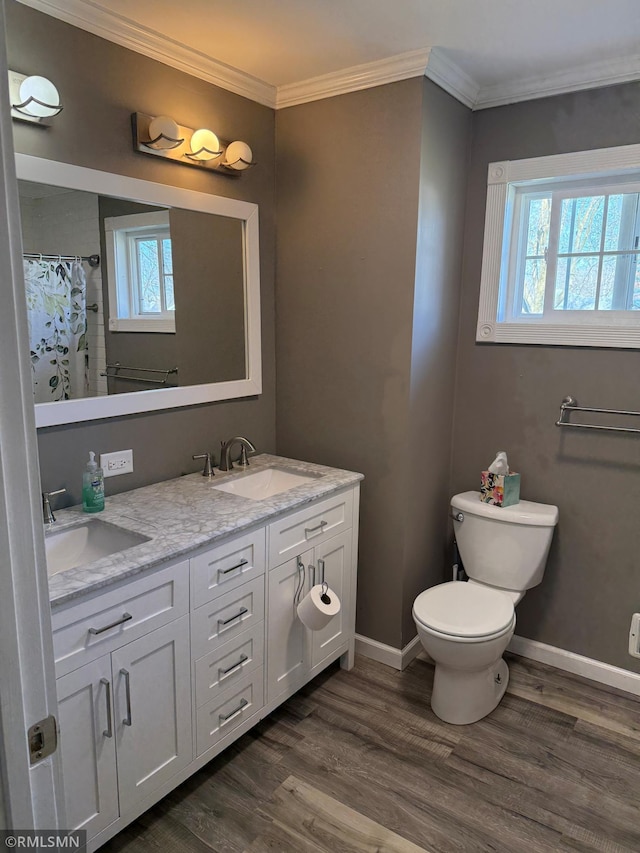 full bathroom featuring wood finished floors, a wealth of natural light, and a sink