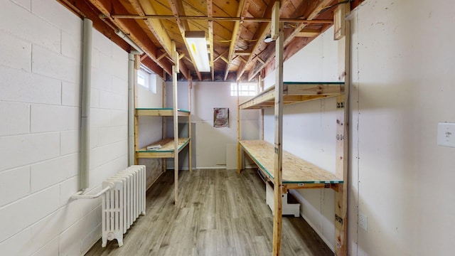 storage area with radiator heating unit
