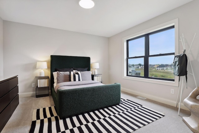9511 Eagle Ridge Rd, Chanhassen, MN 55317 - bedroom featuring baseboards and light colored carpet