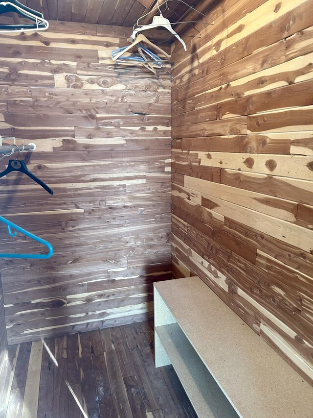 walk in closet featuring dark wood-style floors