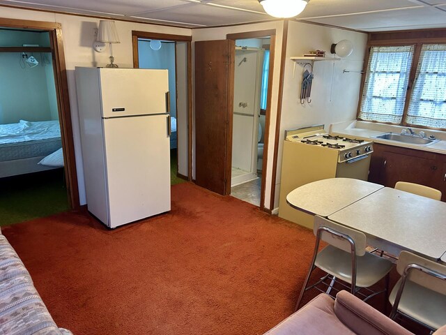 kitchen with carpet, white appliances, and a sink