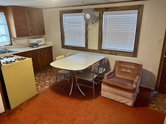 kitchen featuring dark brown cabinetry, a sink, white microwave, and light countertops