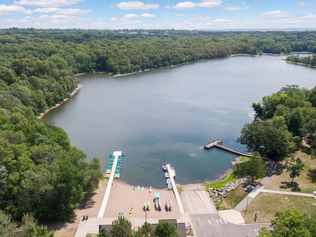bird's eye view with a view of trees and a water view