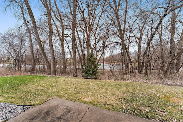 2668 Lake Court Dr, Mounds View, MN 55112 - photo 16