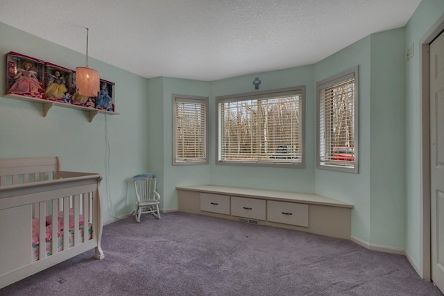 26182 Jericho Rd, Saint Joseph Twp, MN 56301 - bedroom with carpet, a textured ceiling, baseboards, and a nursery area
