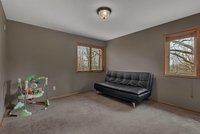 26182 Jericho Rd, Saint Joseph Twp, MN 56301 - living area with carpet floors and baseboards