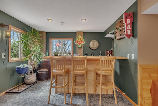 26182 Jericho Rd, Saint Joseph Twp, MN 56301 - indoor dry bar with carpet, plenty of natural light, baseboards, recessed lighting, and a textured ceiling