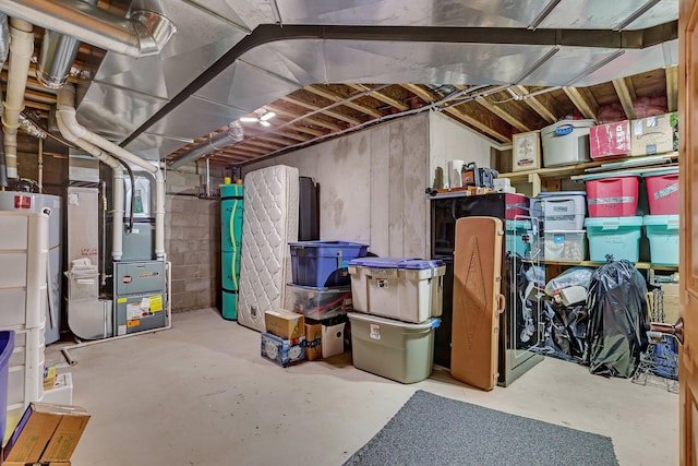 26182 Jericho Rd, Saint Joseph Twp, MN 56301 - unfinished basement with heating unit
