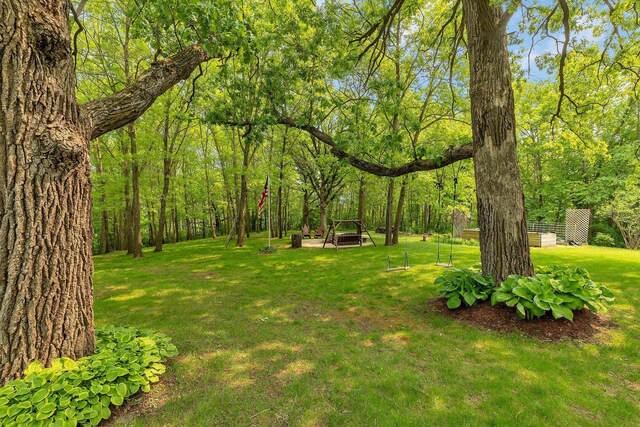 26182 Jericho Rd, Saint Joseph Twp, MN 56301 - view of green lawn