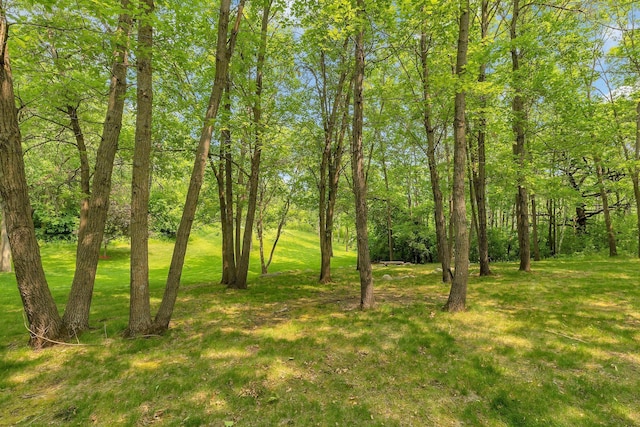 26182 Jericho Rd, Saint Joseph Twp, MN 56301 - view of green lawn