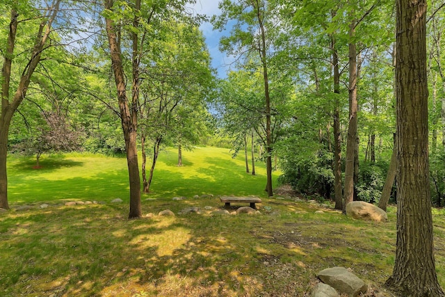 26182 Jericho Rd, Saint Joseph Twp, MN 56301 - view of undeveloped land